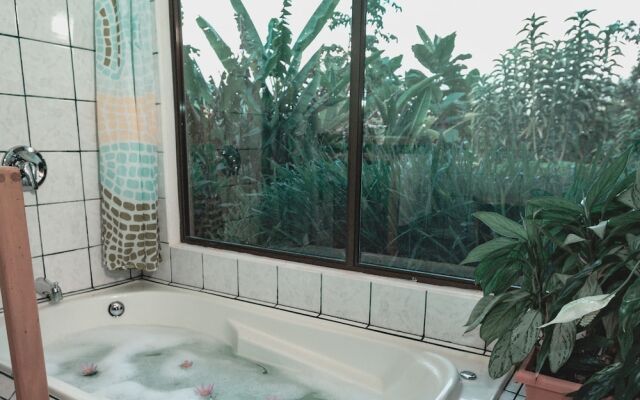 Toucanet Lodge