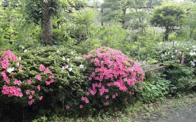 Guest House Yamanouchi