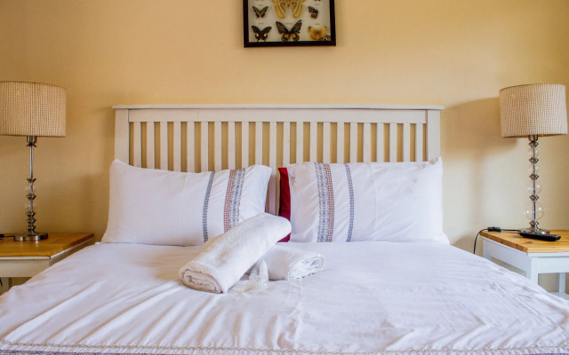 Pro Active Guest House