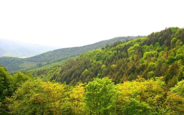 LHostellerie Le Turckheim Croix dor