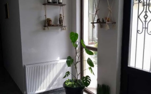 hostel house pluse