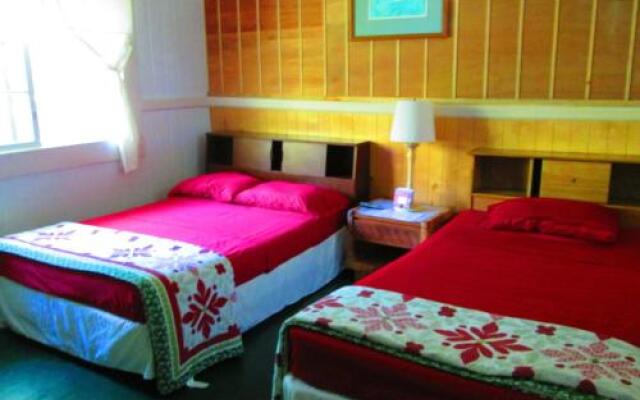 Wild Ginger Inn Hotel & Hostel