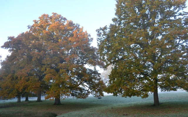 Sissinghurst Castle Farmhouse