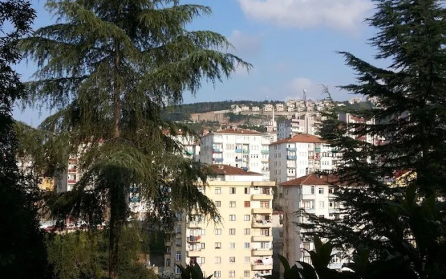 Adelante El Destino - Adults Only