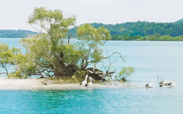 Coomera Houseboat Holidays
