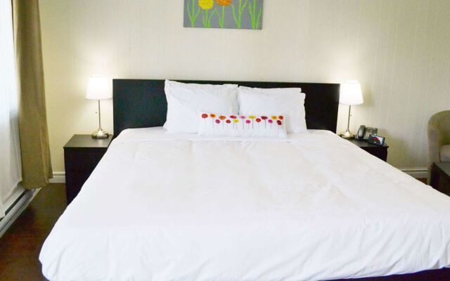 Vow Motel Listowel On