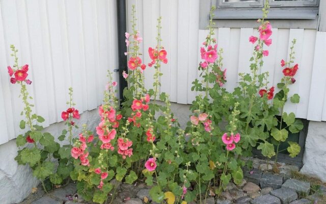 4 Person Holiday Home In Solvesborg