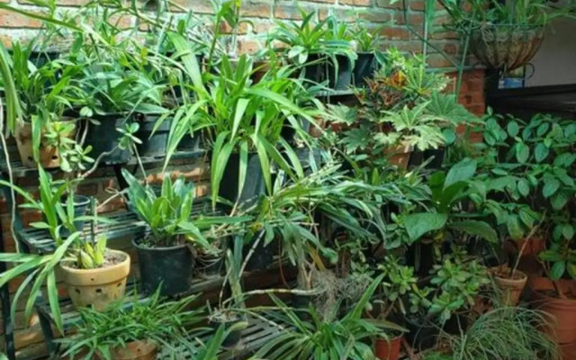 King Bed in Our Guest Room at Inn Ajijic