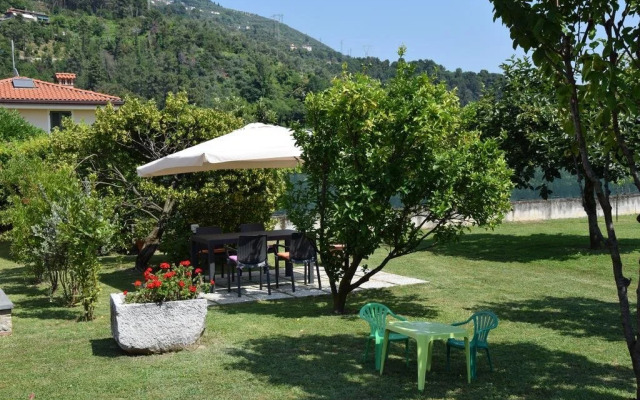Bouganville