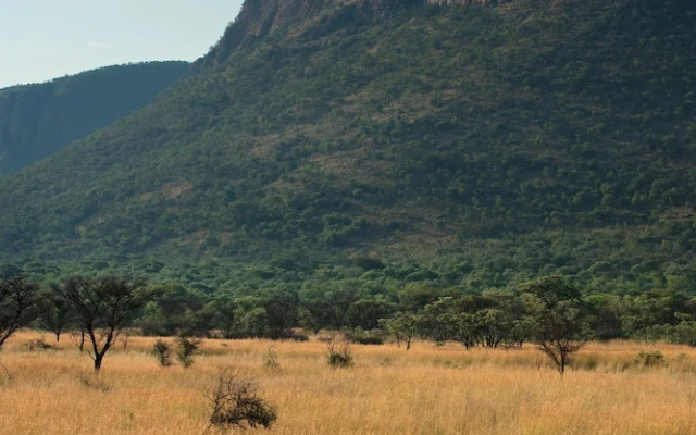 Marataba Safari Lodge