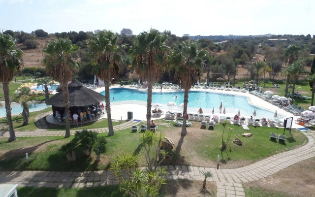 The Navigator - Palm Oasis Alvor