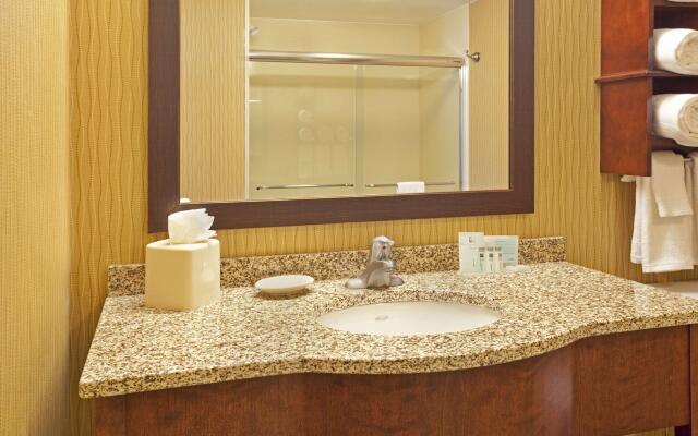 Hampton Inn Suites Minneapolis St Paul Arpt-Mall of America