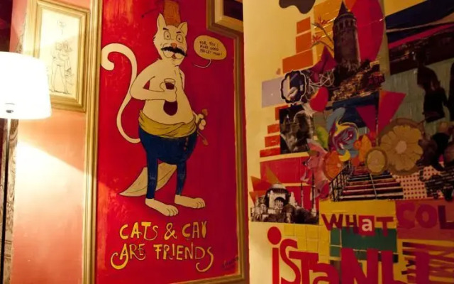 Stray Cat Hostel in Istanbul