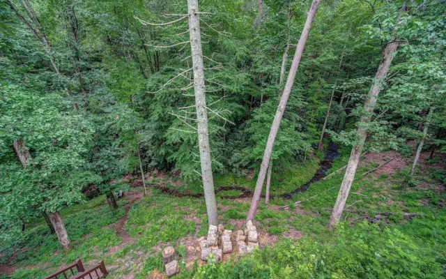 Bear Track Falls Retreat Mtn. Getaway!