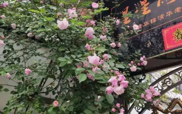 Xingxingyu Qixi Flower Garden