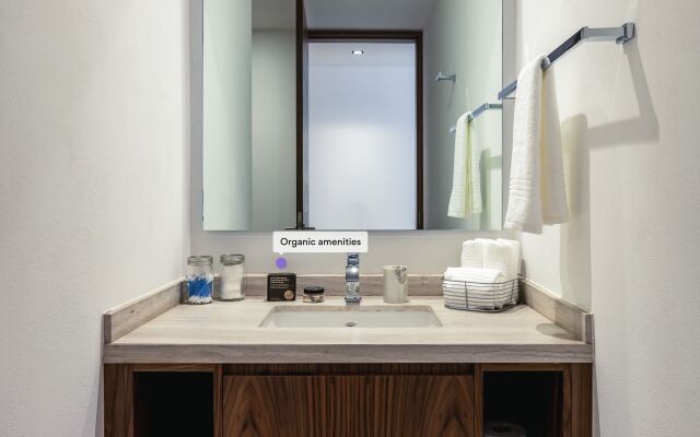Casai Polanco 2 BR 2BA Sophisticated Suite