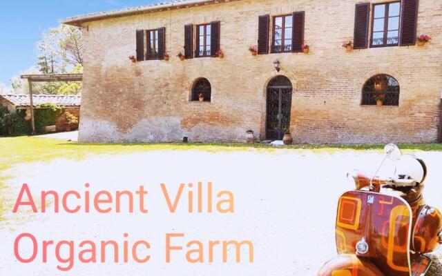 Villa Poggio al Sole