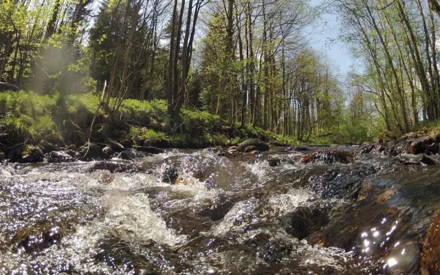 Doppelhaushaelfte in Hasselfelde