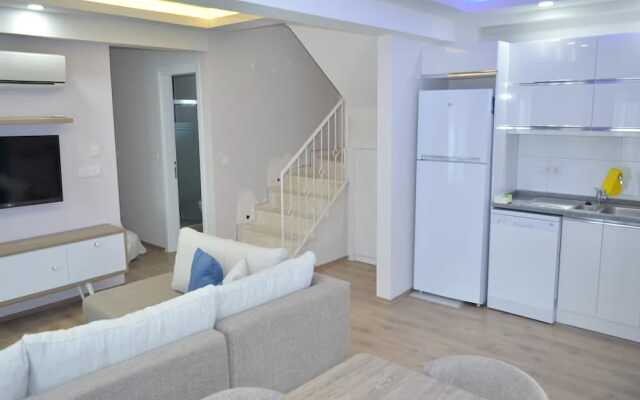 New Age Villa Lilya Hisar