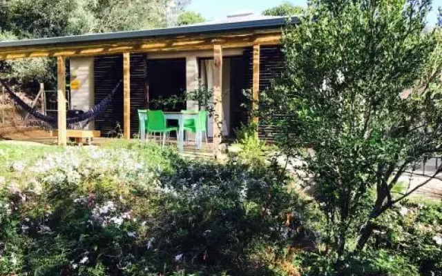 Treebia Self-catering