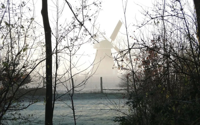 Spacious Apartment With Garden in Boisendorf