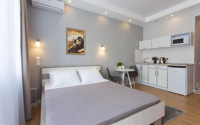 Studio LUX beside metro Universytet, Pushkinska - Chernyshevska str. 95-5