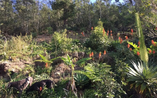 A Riverbed Guesthouse