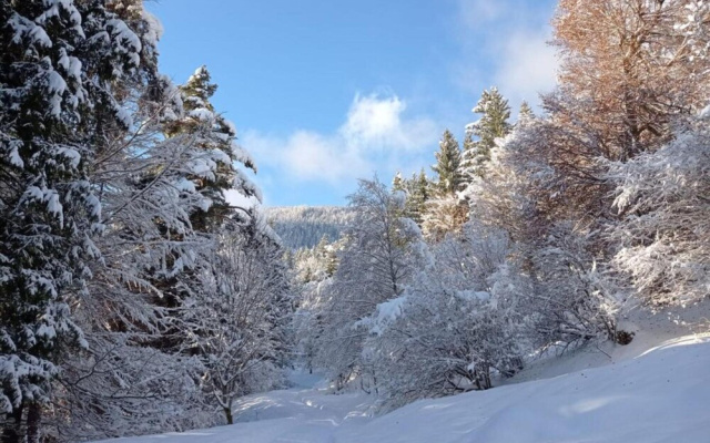 Holiday Home Near Wolfsklamm River