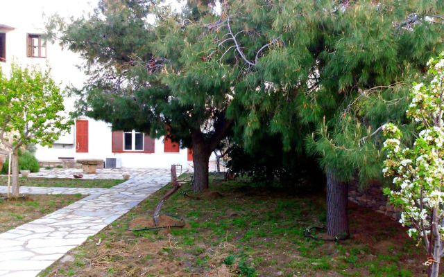 Windmill Complex