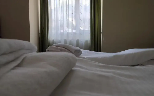 Iri Busteni Hotel