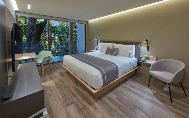 City Express Plus by Marriott Guadalajara Providencia