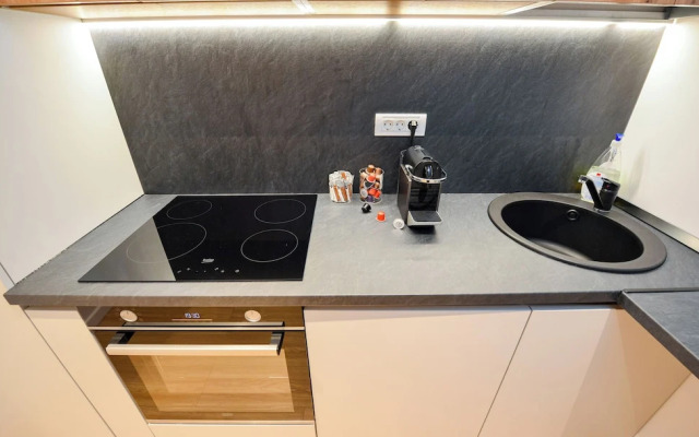 Twin II Apartment - One Bedroom - Cismigiu Gardens