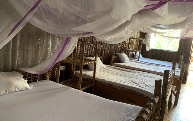 New Jambo Bungalows