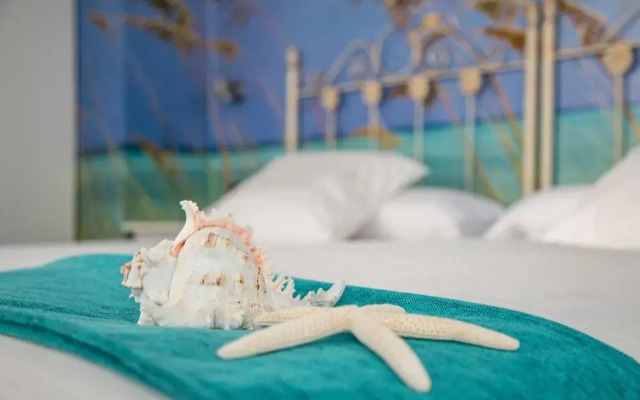 Salamandra Plaza B&B