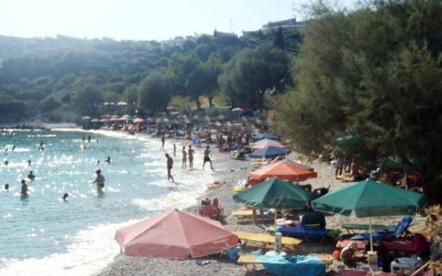 Cleomenis