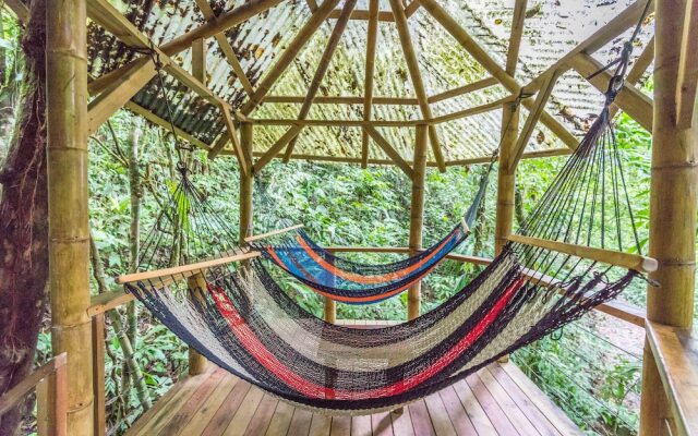 Finca Bellavista Treehouse Community