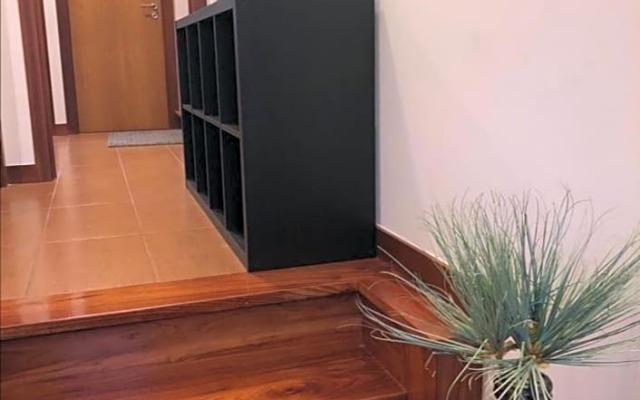 Angel by Prada City House