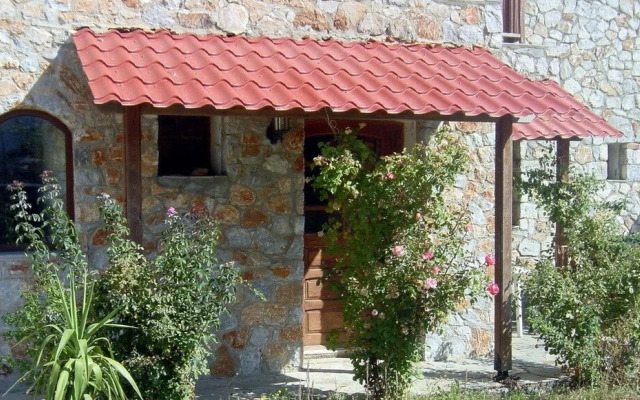Exari