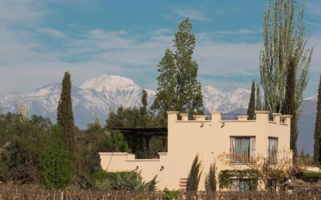 CONALBI GRINBERG Casa Vinicola
