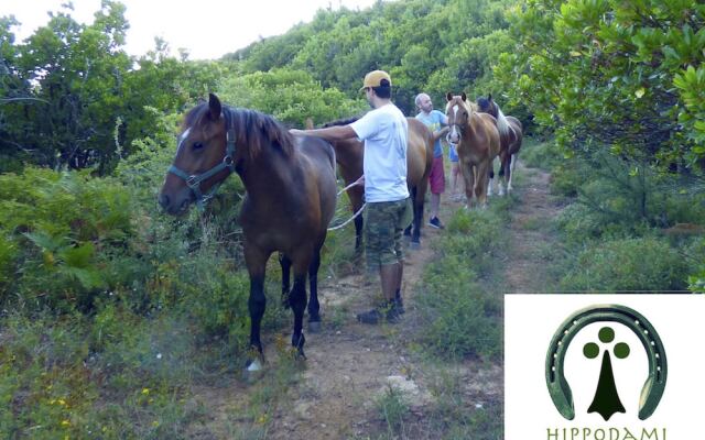 Arxontiko Mytilineou Skretaion