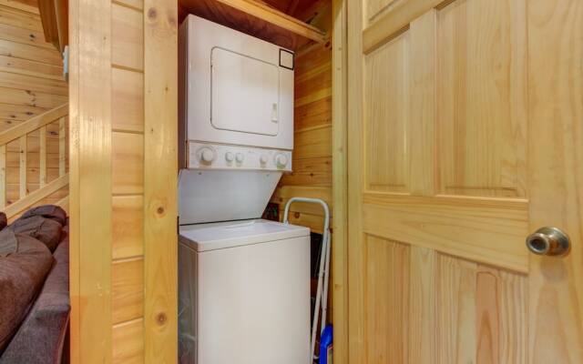 Bearly Makin It by Vtrips