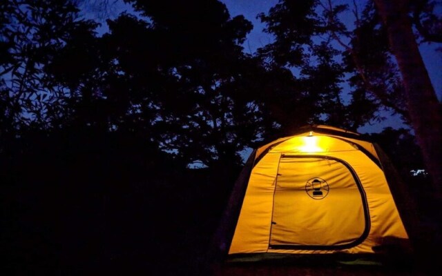 Okinawa BBQ Beer Garden & Campsite