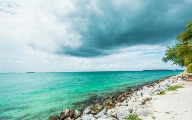 Coral Garden by Avantstay Great Location w/ Balcony & Shared Pool