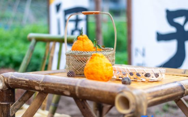 Shengsi Pushu • 18 mu B&B – Meal – Zhoushan