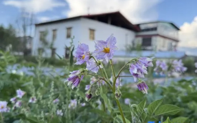 Grassland Snow Mountain Hotel