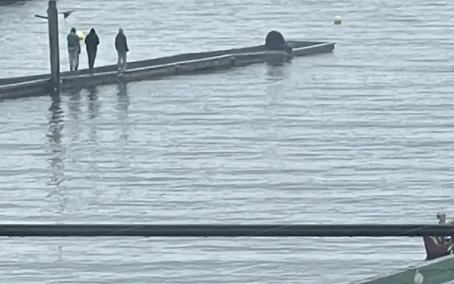 Curley's Resort & Dive Center
