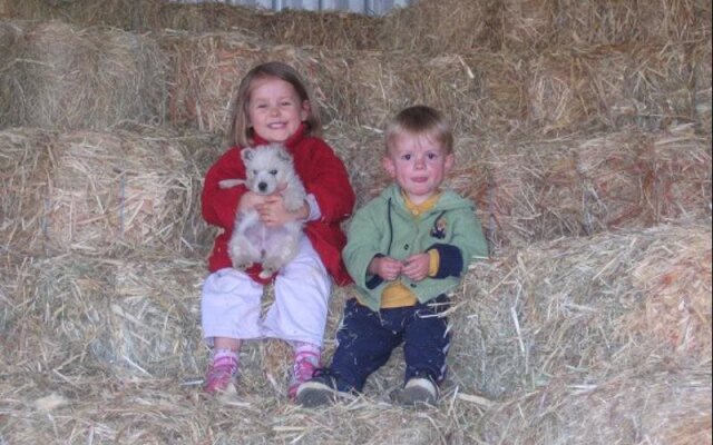 Lee Farm Stay Cottages
