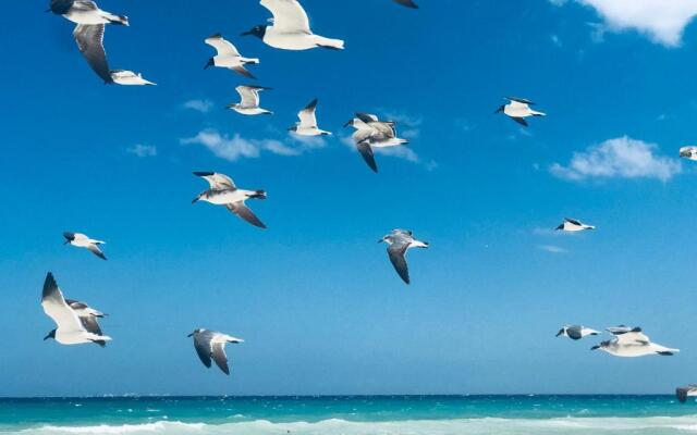 New Year Available 3BR 200Mbps Wifi & Bikes & Beach Access