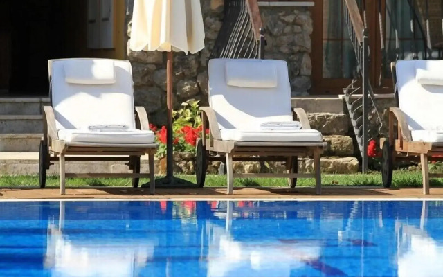 The Olive Tree Studios - Adults Only