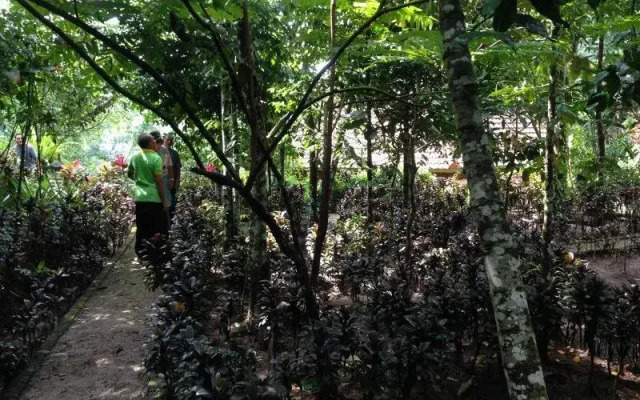Bali Eco Resort